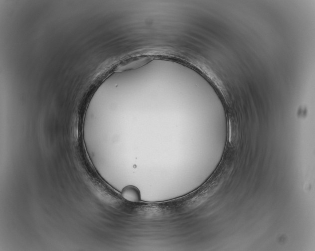 X0000096710253200802261636