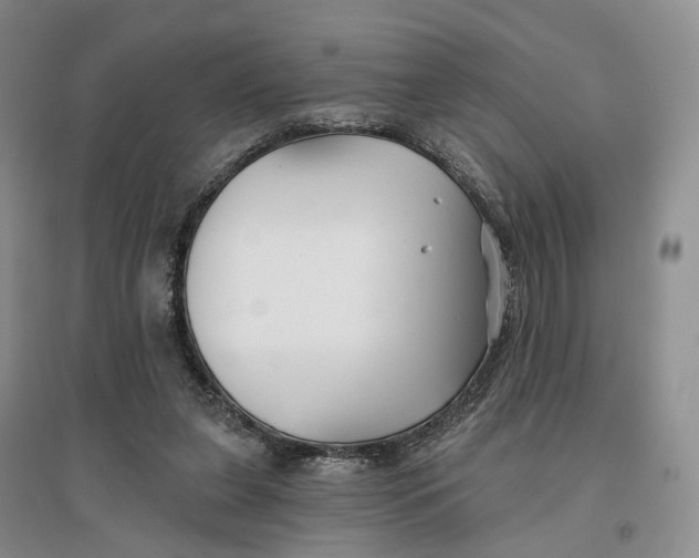 X0000096710255200802261636