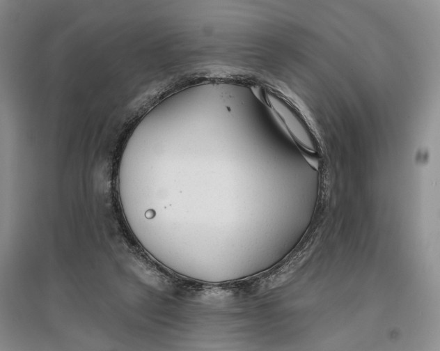 X0000096710257200802261636