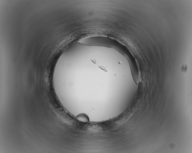 X0000096710258200802261636