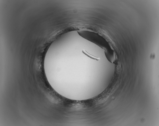 X0000096710259200802261636