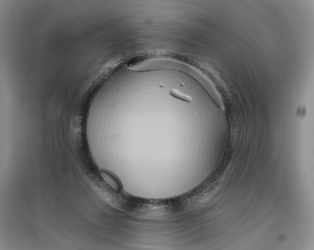 X0000096710260200802261636