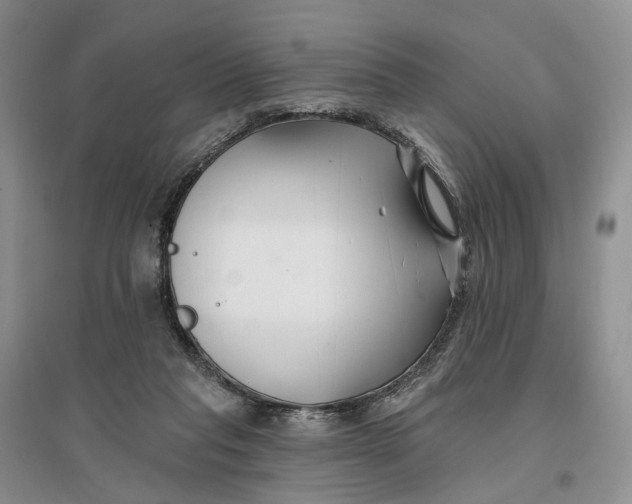 X0000096710261200802261636