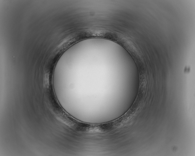 X0000096710262200802261636