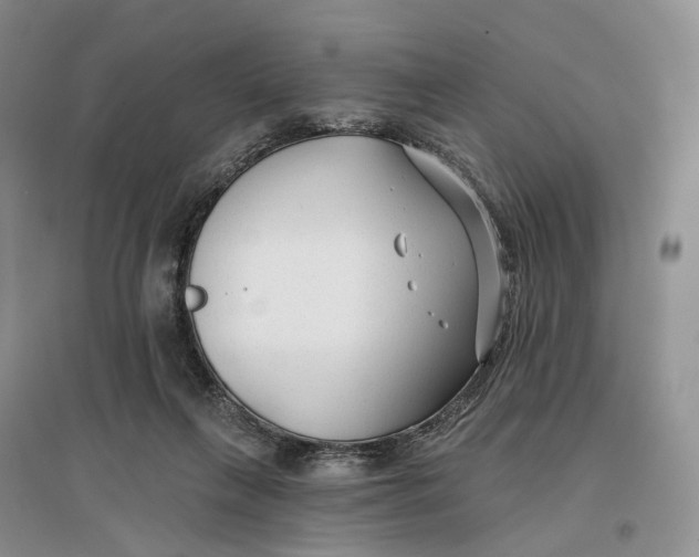 X0000096710263200802261636