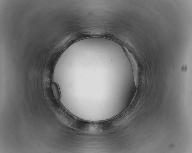 X0000096710264200802261636