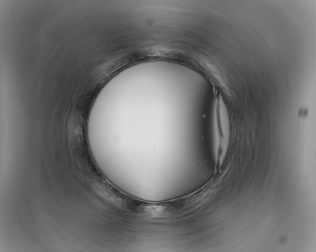 X0000096710265200802261636