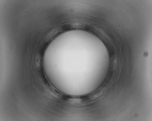 X0000096710266200802261636