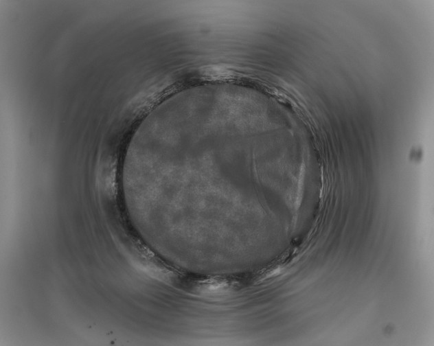 X0000096710267200802261636