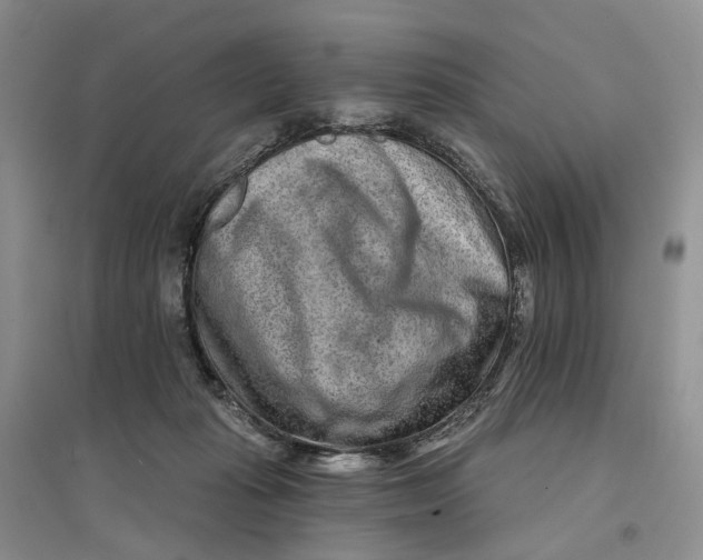 X0000096710269200802261636