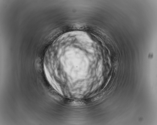 X0000096710270200802261636