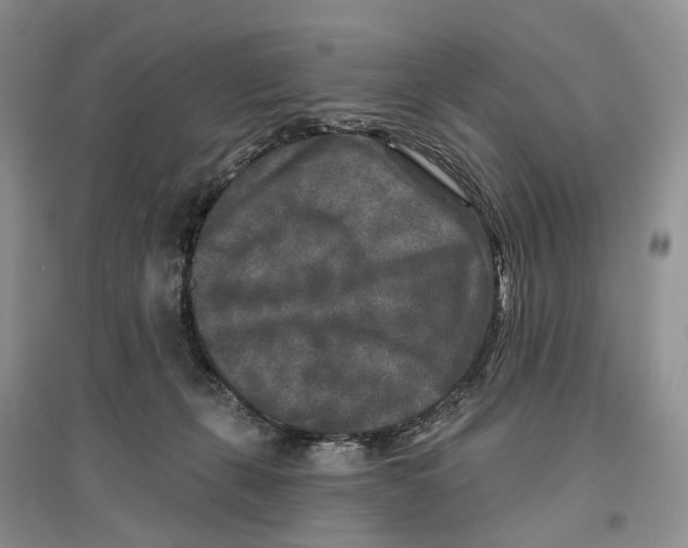 X0000096710271200802261636