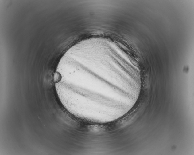 X0000096710273200802261636