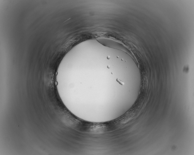 X0000096710274200802261636