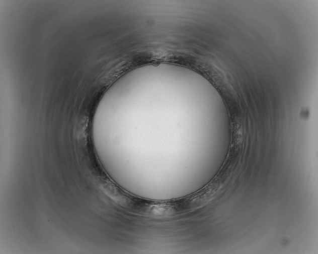 X0000096710275200802261636