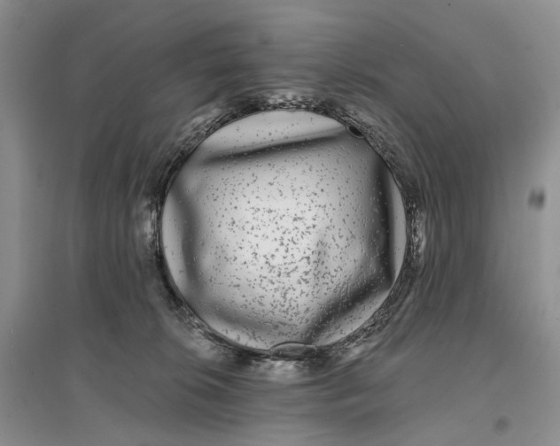 X0000096710276200802261636