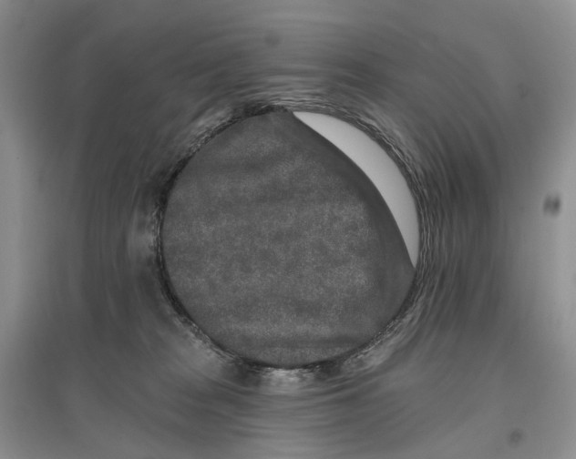 X0000096710277200802261636