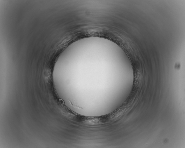 X0000096710278200802261636