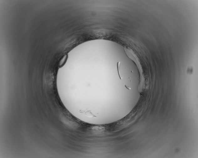 X0000096710279200802261636