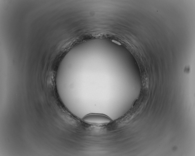 X0000096710280200802261636