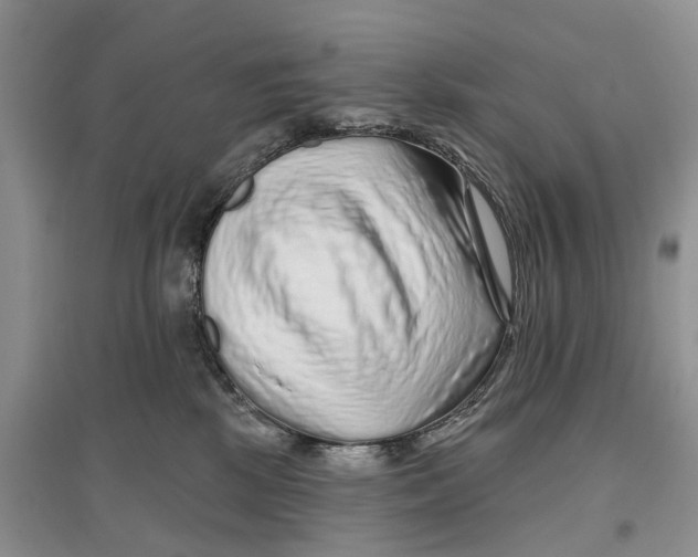 X0000096710281200802261636