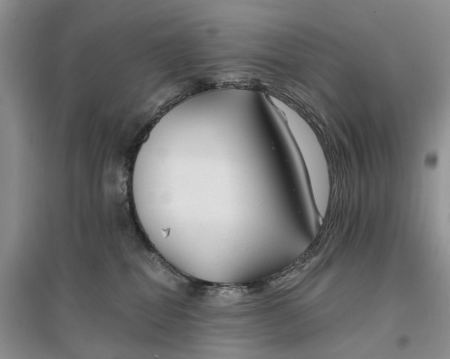 X0000096710282200802261636