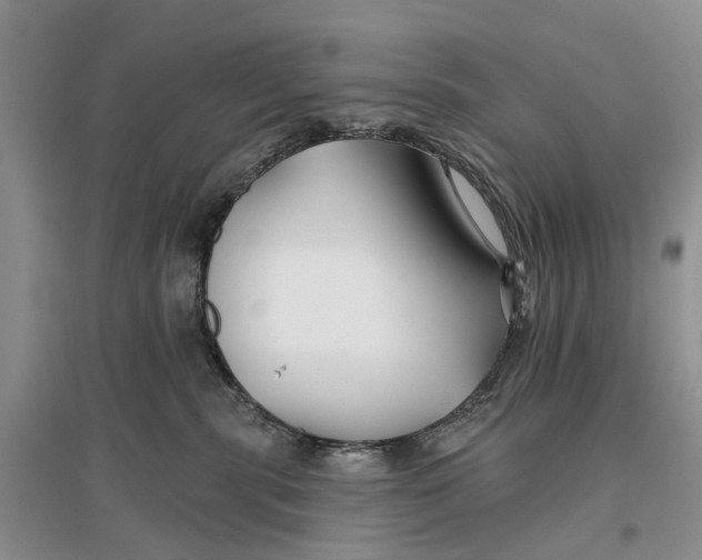 X0000096710283200802261636