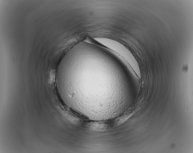 X0000096710284200802261637