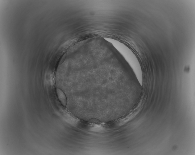 X0000096710285200802261637