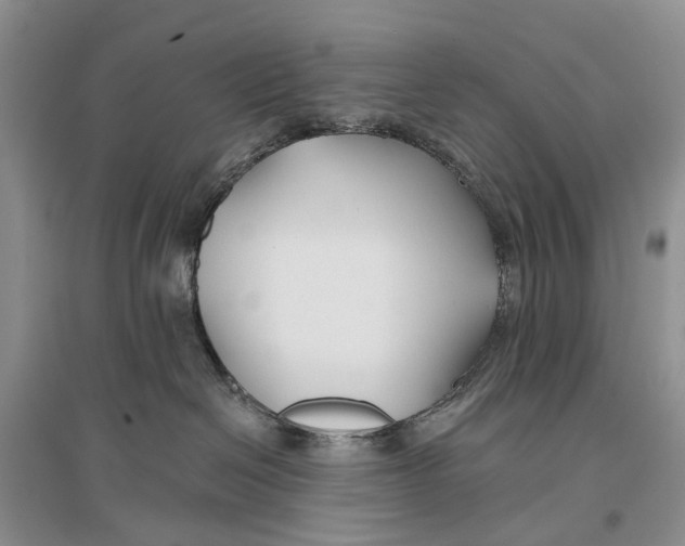 X0000096710286200802261637