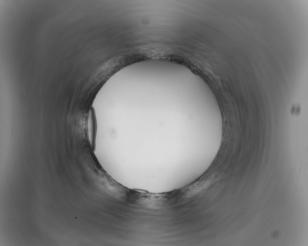 X0000096710288200802261637