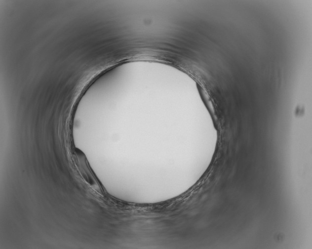 X0000096710289200802261636