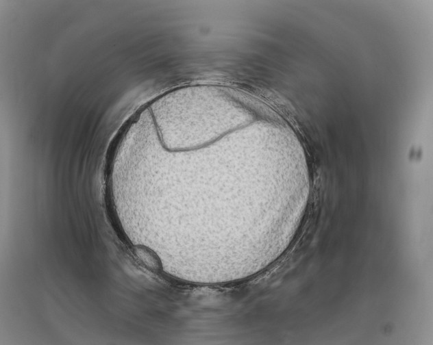 X0000096710290200802261636