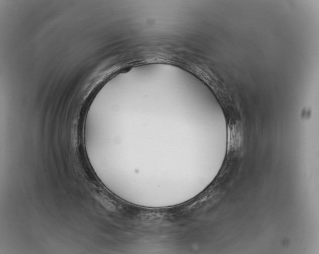 X0000096710291200802261636