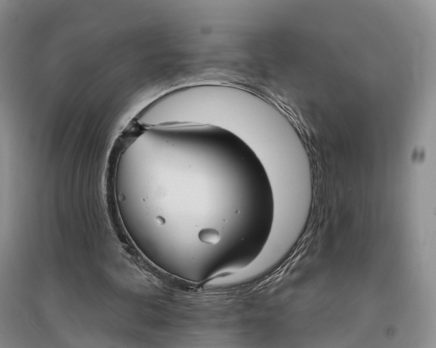 X0000096710292200802261636