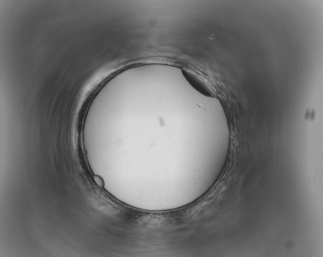 X0000096710294200802261636