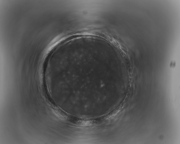 X0000096710295200802261636