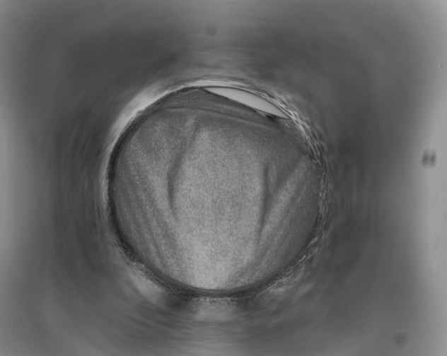 X0000096710296200802261636