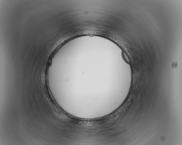 X0000096710297200802261636