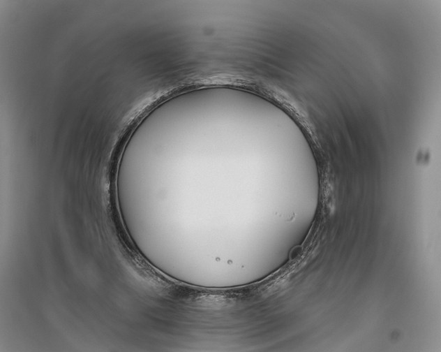 X0000096710298200802261636