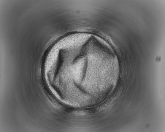 X0000096710299200802261636