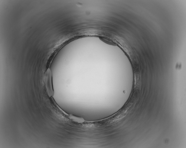 X0000096710301200802261636