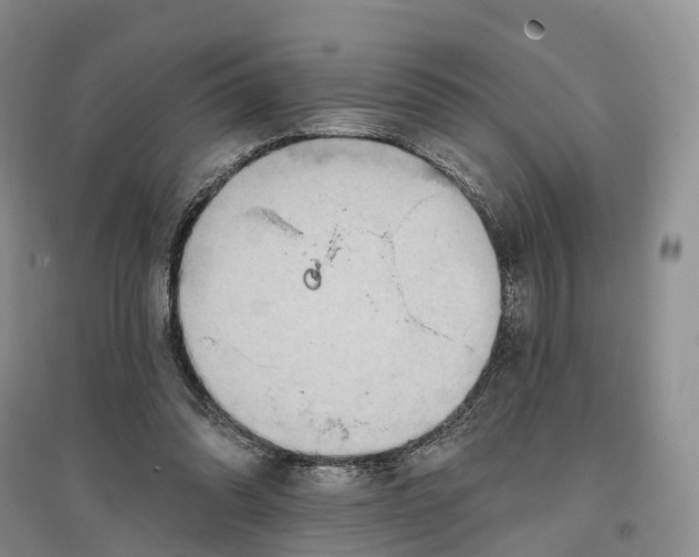 X0000096710302200802261636