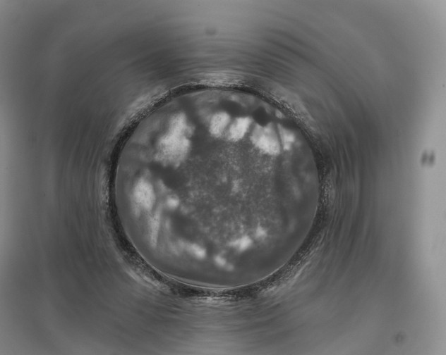 X0000096710303200802261636