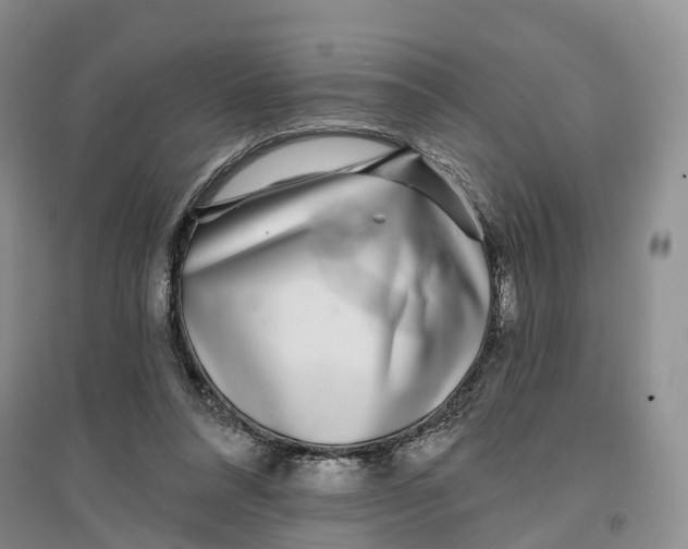 X0000096710304200802261636