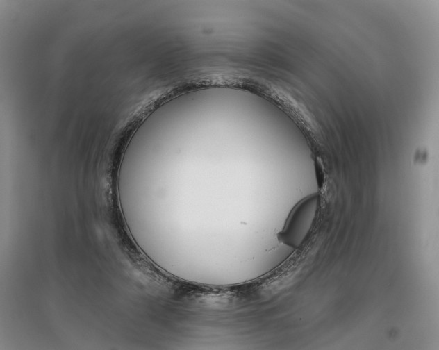 X0000096710306200802261636