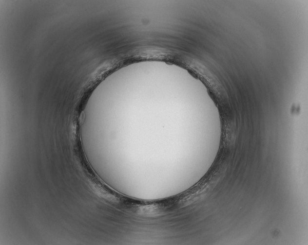 X0000096710309200802261635