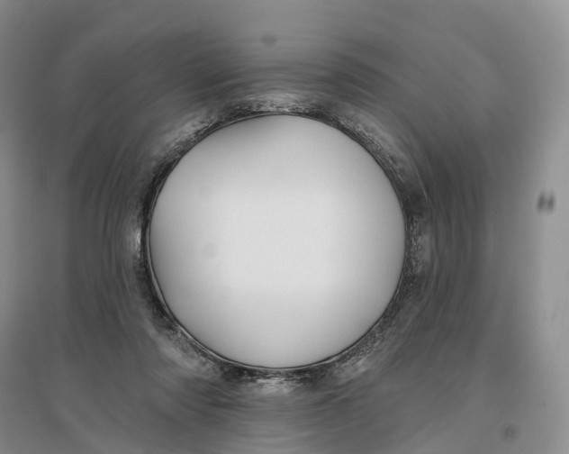 X0000096710310200802261635