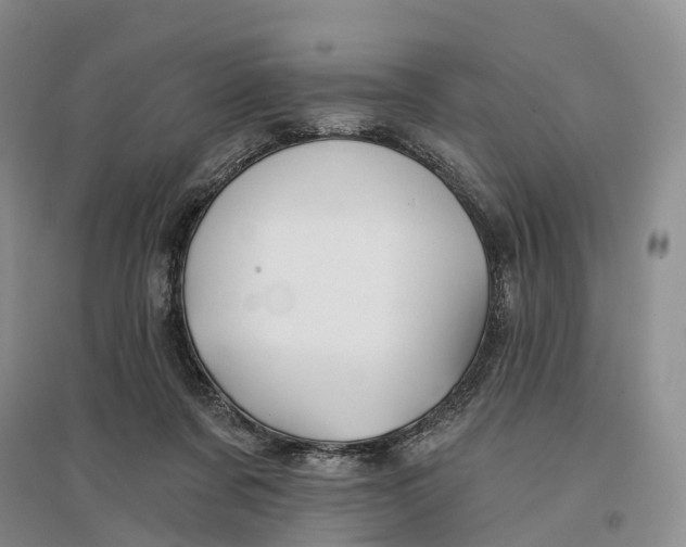 X0000096710311200802261635