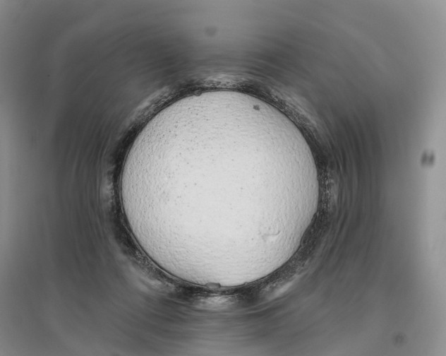 X0000096710312200802261635